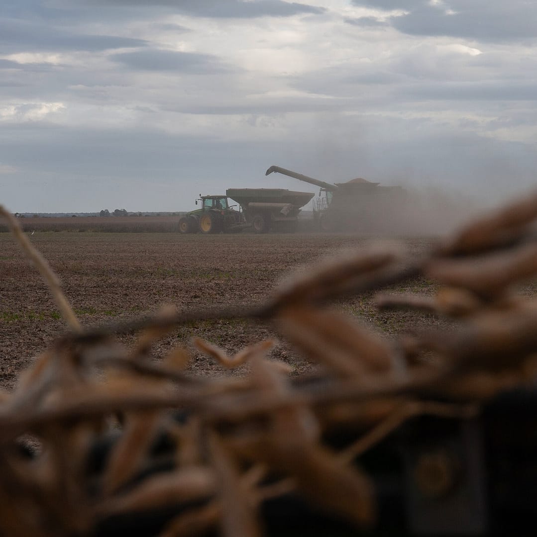 U.S. Farmers Brace for Losses in New Trade War With China