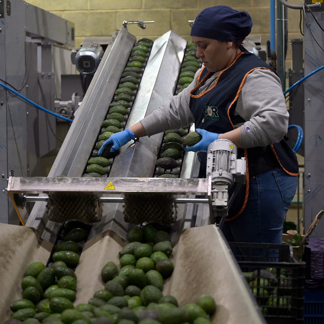 Tariffs Add a New Shock to Food Supply Chains