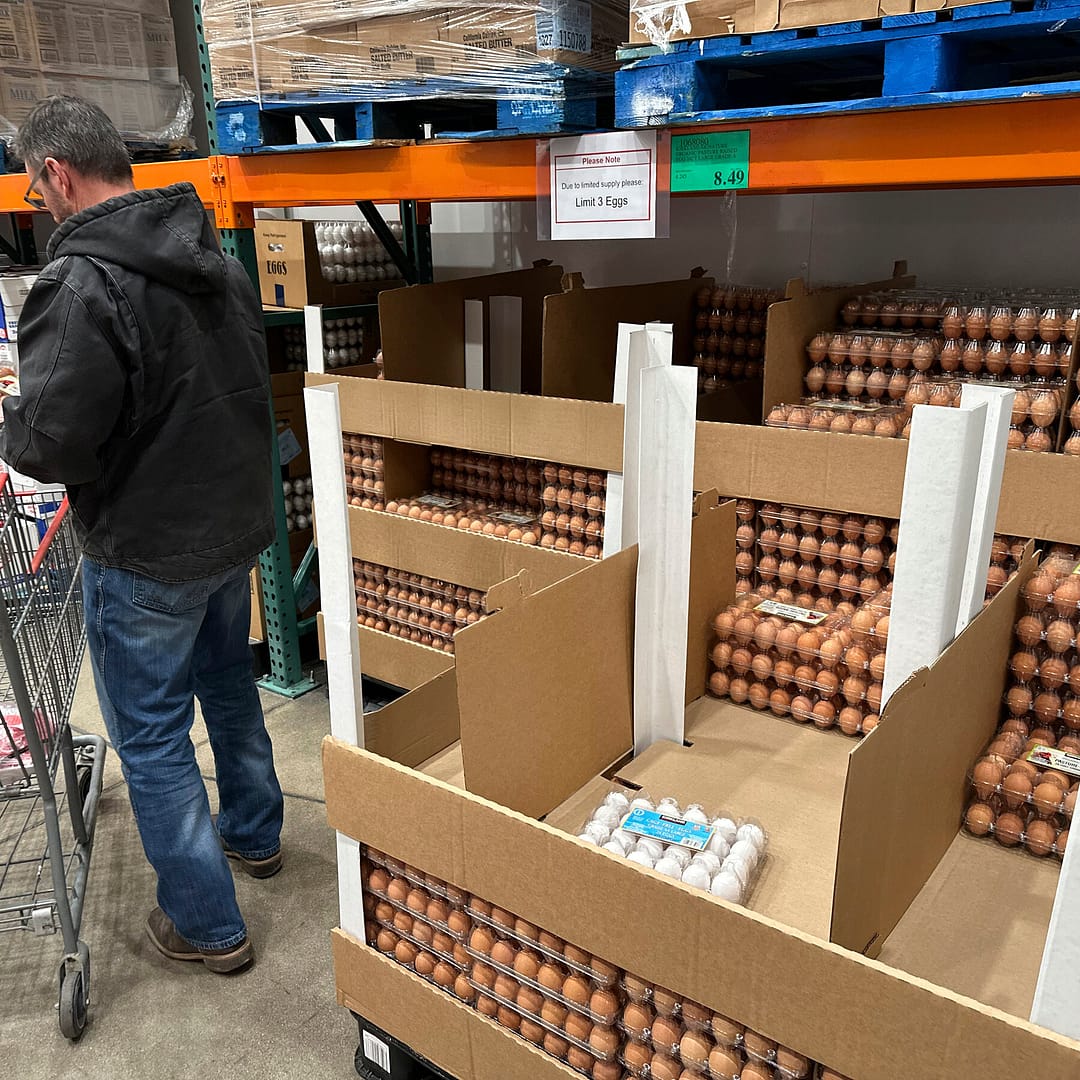 U.S. Investigates Egg Producers Over Soaring Prices
