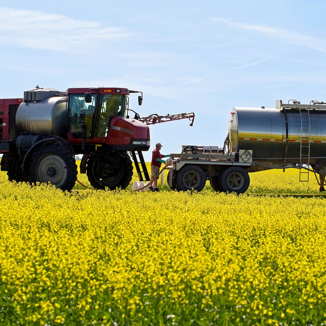 China Hits Canada With Tariffs in Indirect Riposte to Trump