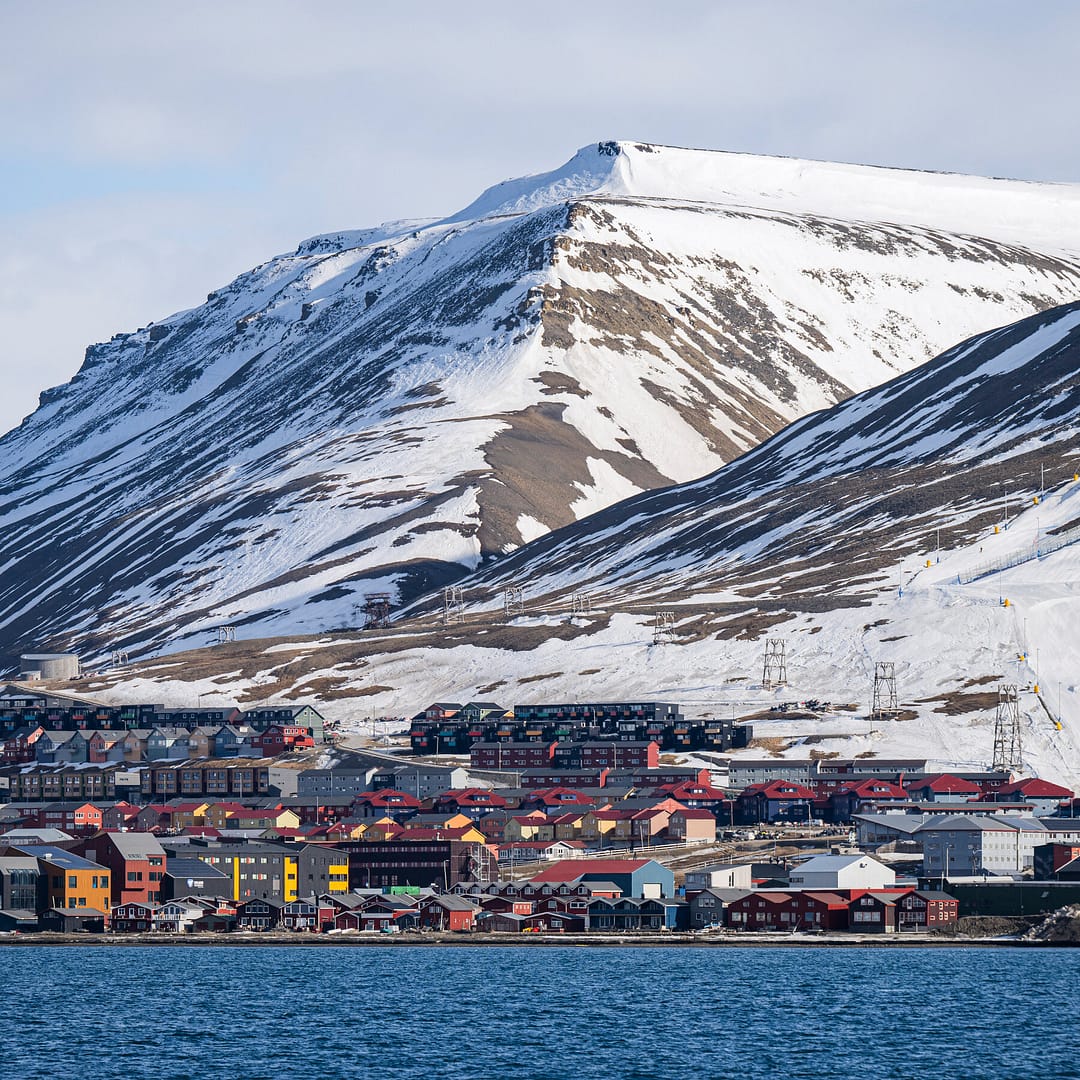 More Penguins Than People: Trump Imposes Tariffs on Remote Islands