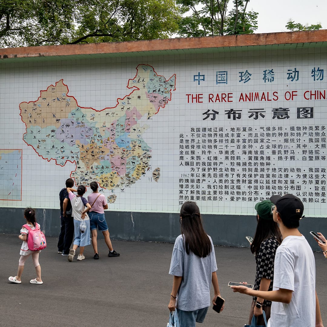 Everyone is Moving to Chengdu. What Does That Say About China’s Economy?