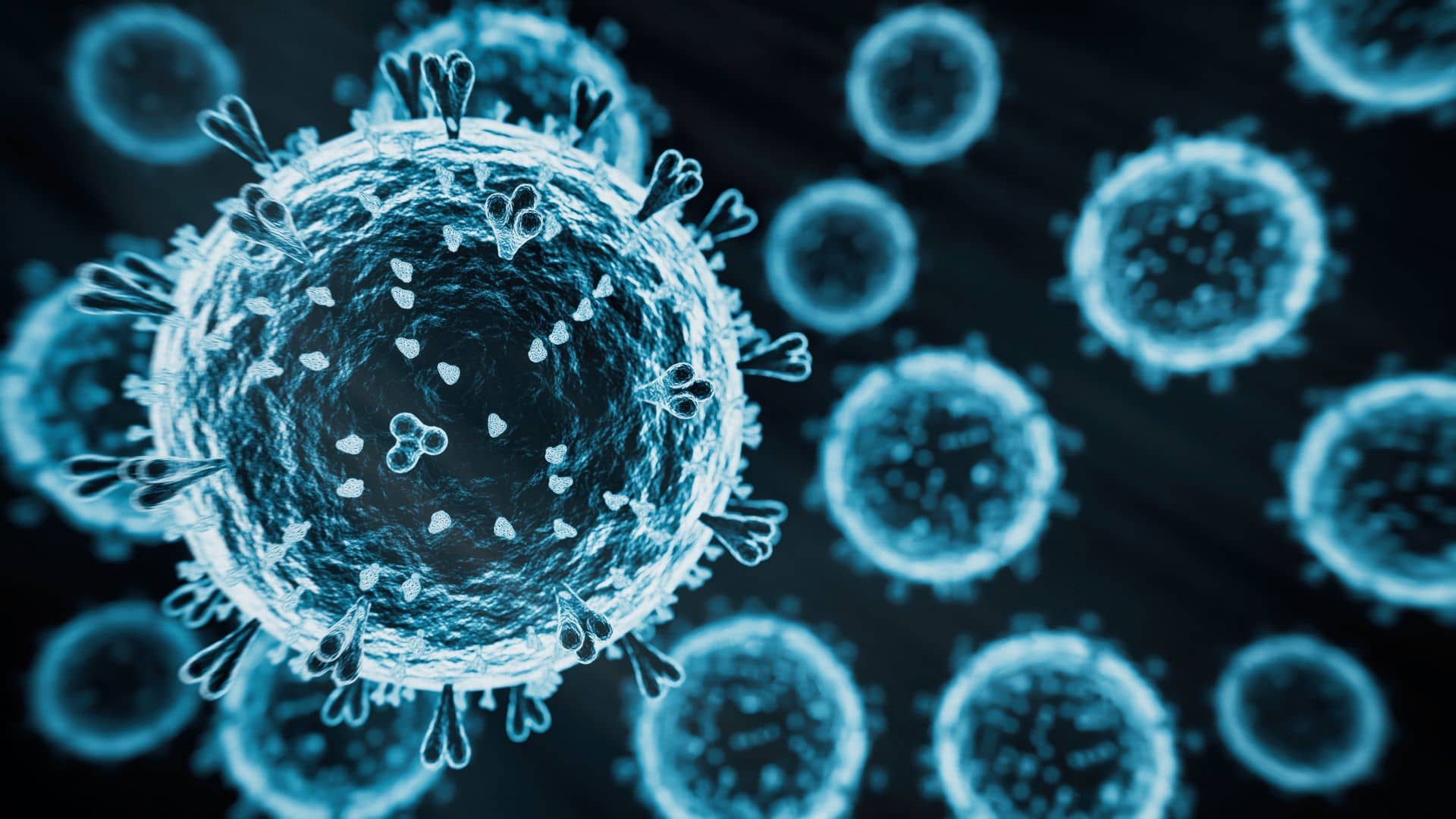 Bird flu has potential to become pandemic, says UK expert