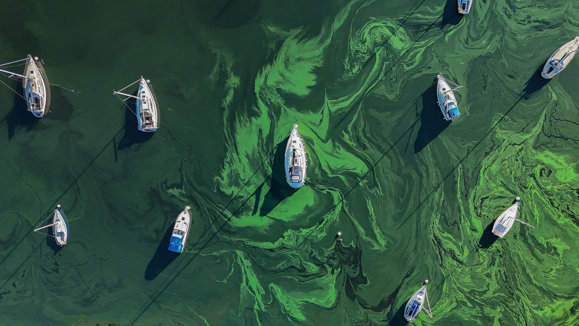 Water company ‘should be prosecuted’ for Lake Windermere sewage spills