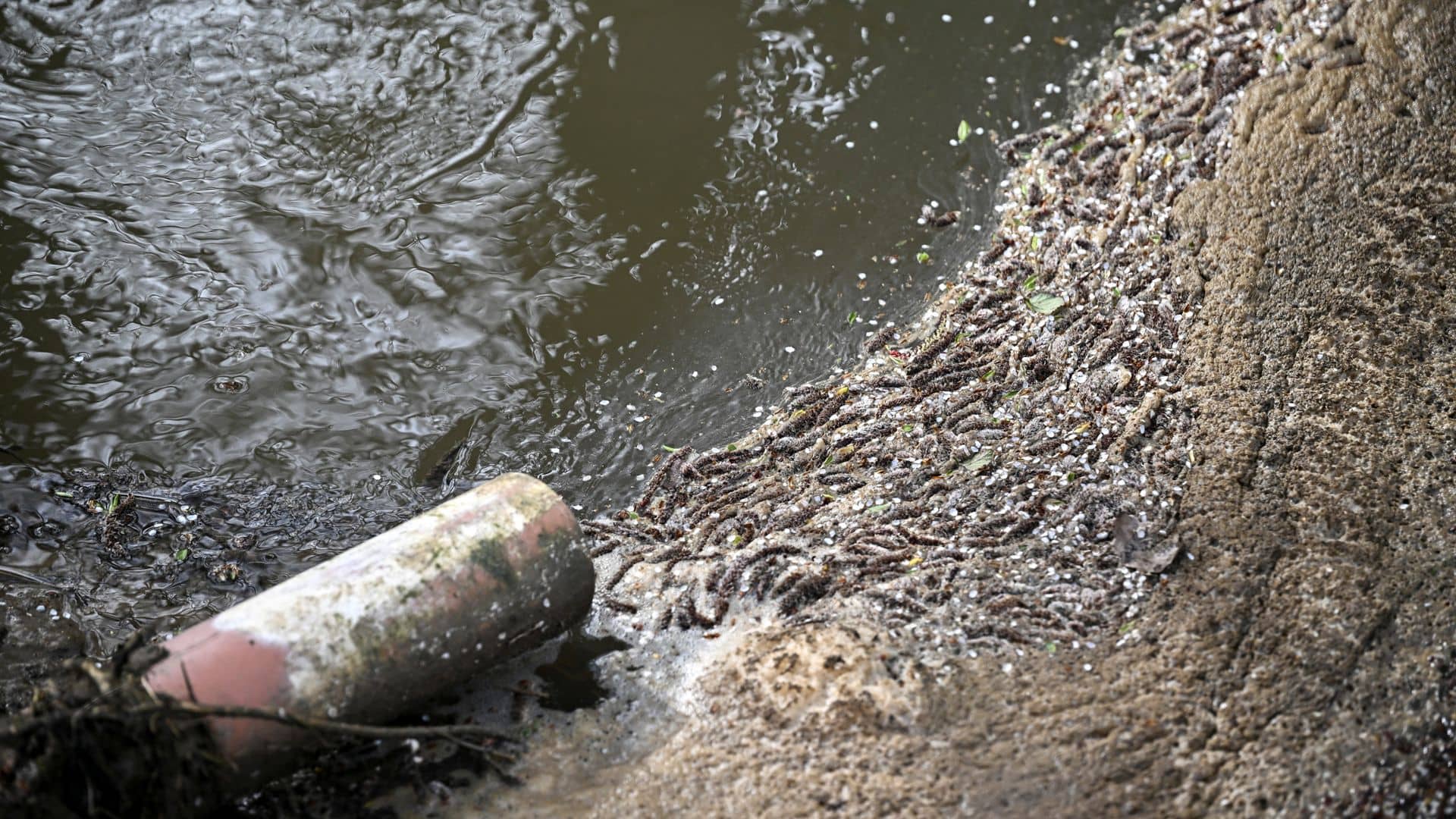 Water bosses face up to two years in prison for illegal sewage spills