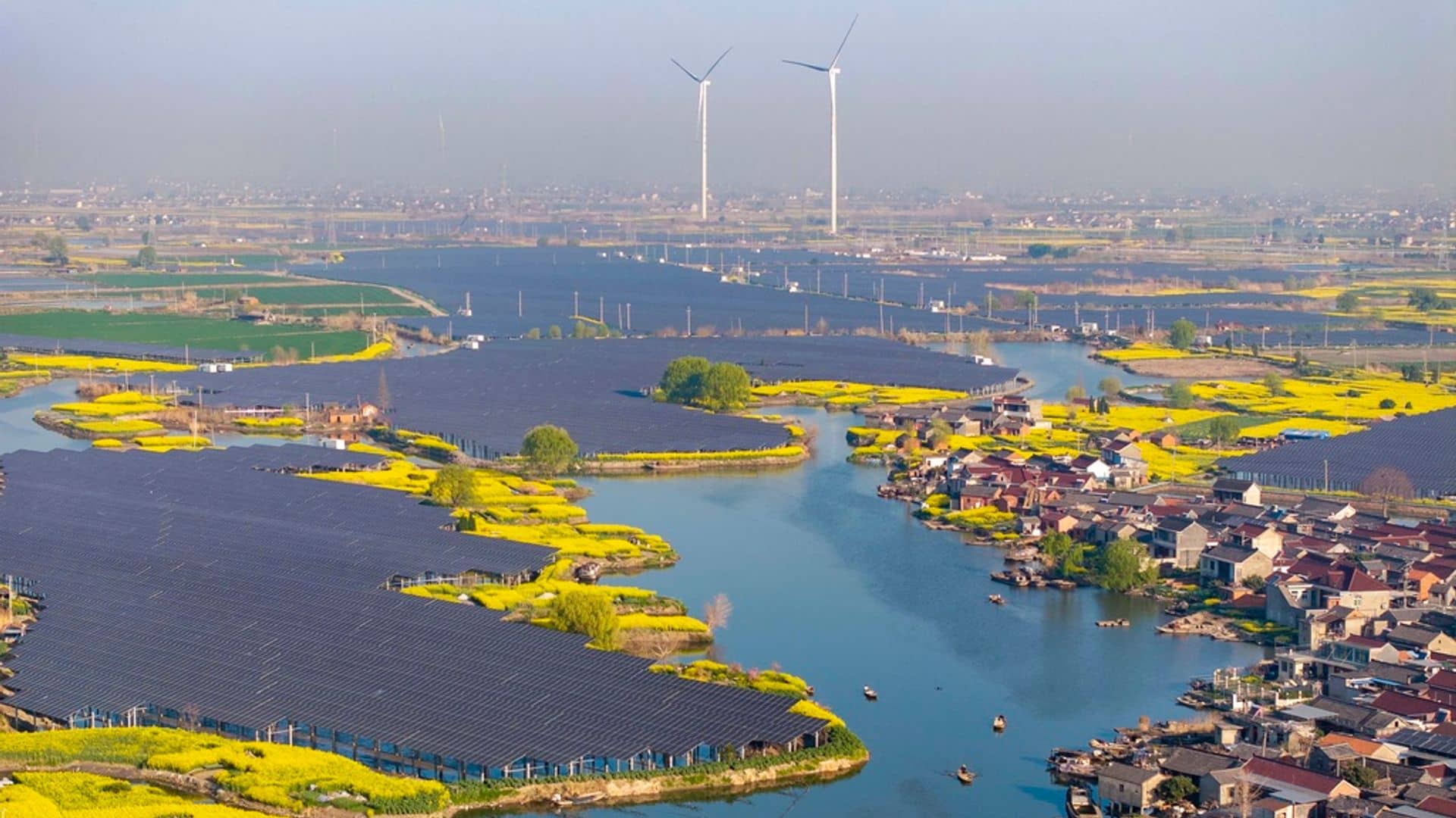 Revealed: How ‘unstoppable force’ helped world reach 40% clean electricity