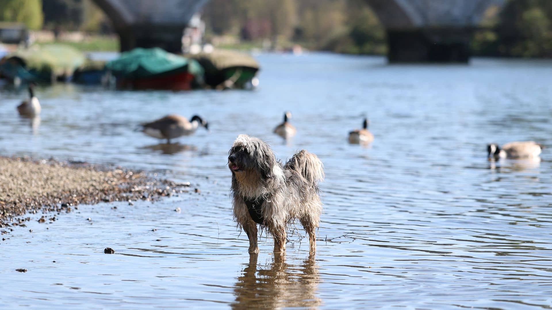 March hottest on record in Europe and by some margin
