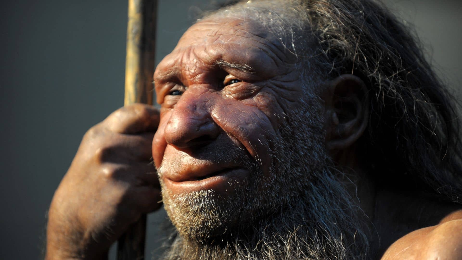 Neanderthals ‘may have made art just like modern humans’