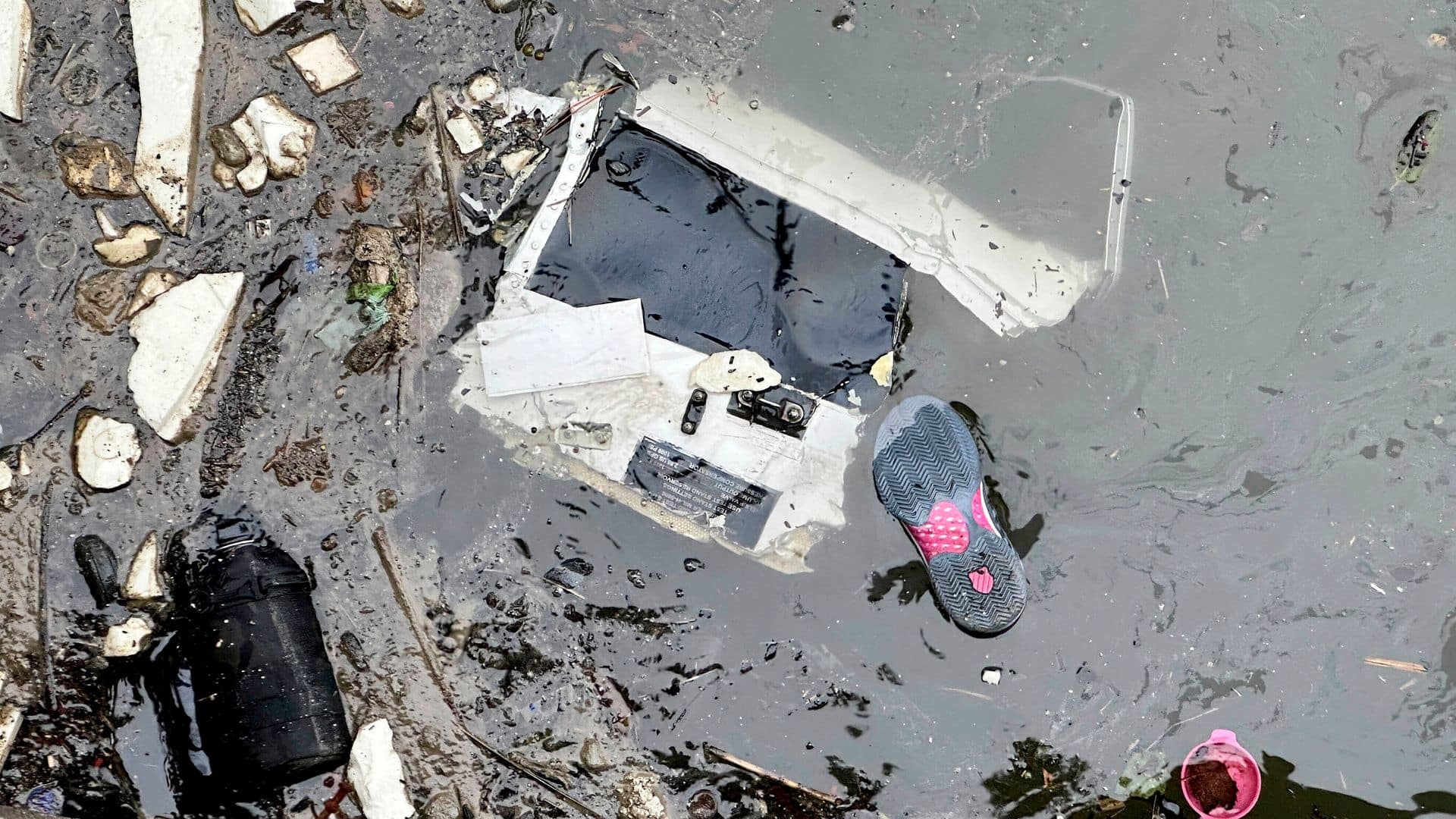 Investigators ‘looking into’ reports flock of birds spotted near helicopter crash site