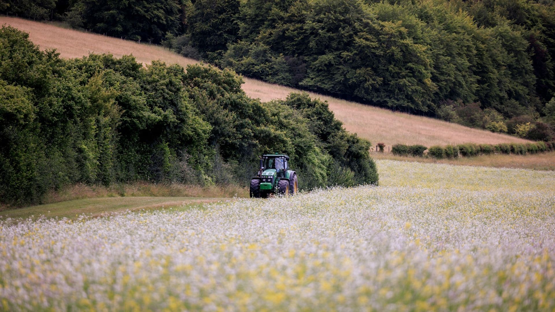 Cutting agricultural budget could be ‘catastrophic’ for nature, farmers and charities warn