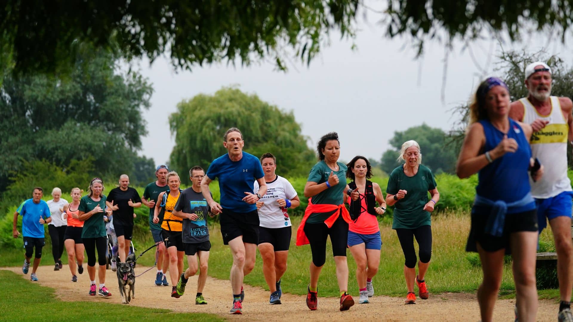 Exercise may benefit colon cancer patients ‘as much as some drugs’