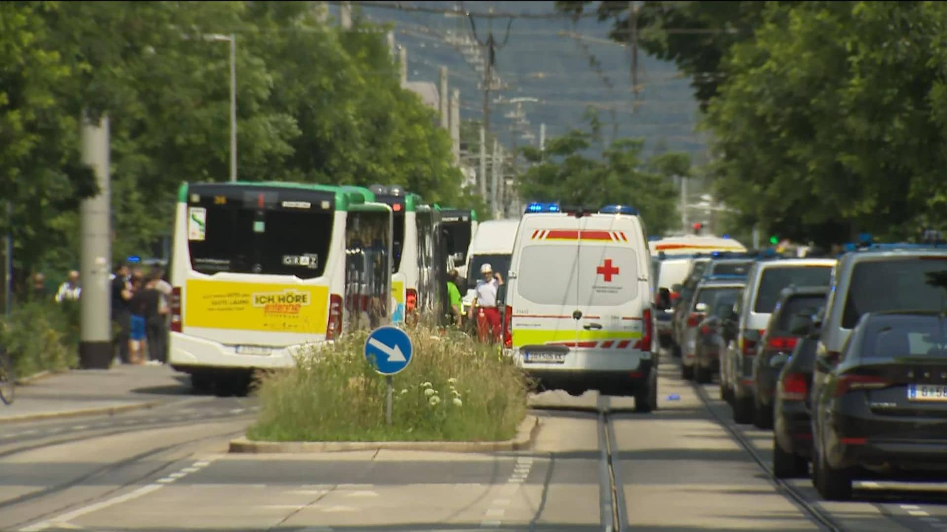At least eight killed in shooting at Austrian school – local media